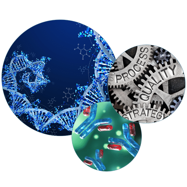 ASKA Biotech GmbH - Ihr Partner für die Entwicklung & Produktion rekombinanter Proteine