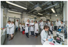 The Immunotechnology group at the University of Potsdam © Gerhard Westrich