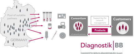 Das DiagnostikNet-BB ist eine Anbietergemeinschaft zur Entwicklung neuer In-vitro-Diagnostika.