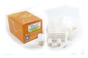 ER201- EasyPure® Viral DNA/RNA Kit