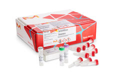 DNA purification kits
