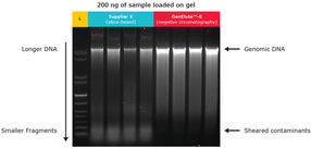GenElute™-E Single Spin DNA and RNA Purification Kits Nucleic Acid Purification