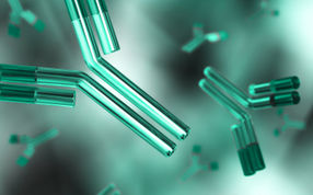 Sino Biological offers comprehensive recombinant antibody production services with leading technology.