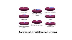 Polymorph/Crystallization screening on the CrystalBreeder
