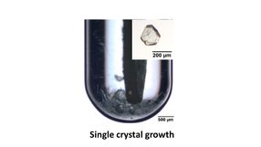 Single crystal growth