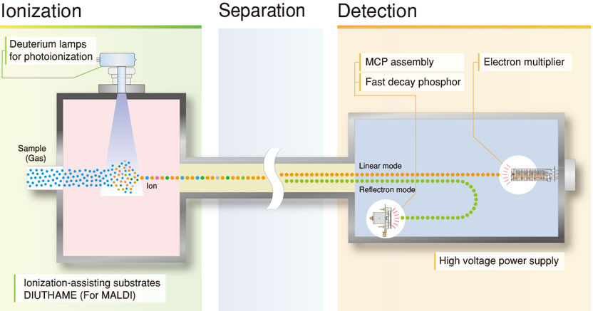 Mass Spec process