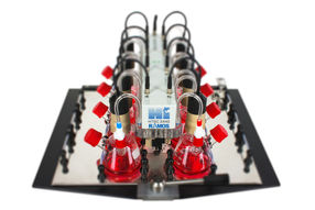 Up to 8 continuously monitored shake flasks allow the statistical evaluation of parallel experiments