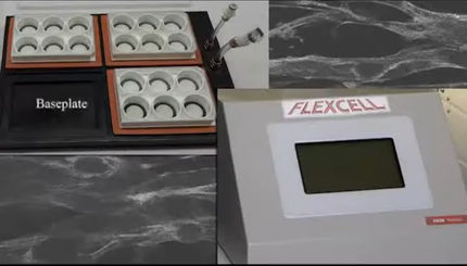 Flexcell Zelldehnungsbioreaktoren für zelluläre Biomechanik-Anwendungen