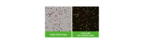 Präzise fluoreszenzbasierte Zellzählung für PBMCs