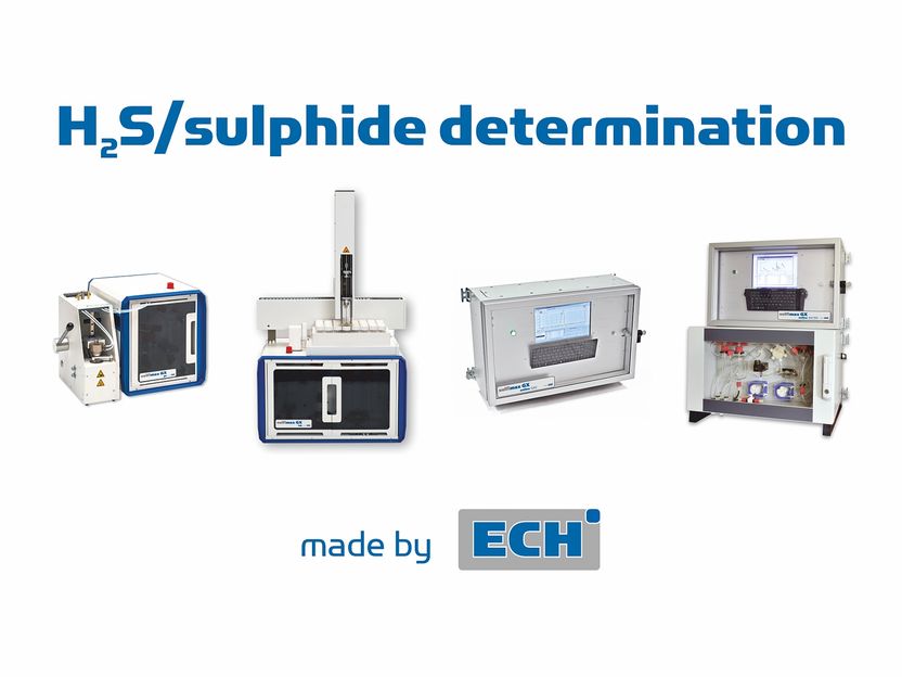 With ECH's analysers of Sulfimax GX series you can easil ...