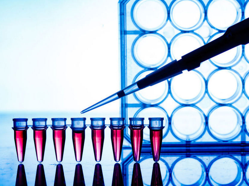 DNA-freie PCR Reagenzien von Molzym