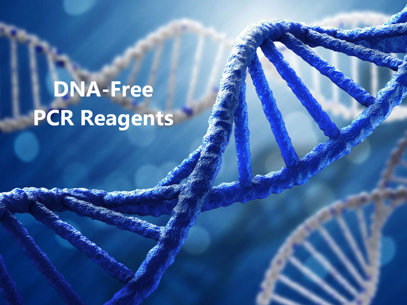 DNA-freie PCR-Reagenzien von Molzym