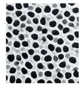 Filtermembranen