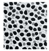Anopore™ inorganic membranes