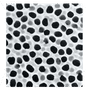 Anopore inorganic membranes