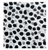 Präzise Filtration leicht gemacht mit Anopore anorganischen Membranen