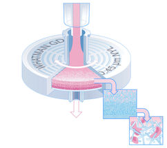 Schematic of Whatman GD/X™ syringe filter with pre-filtr ...