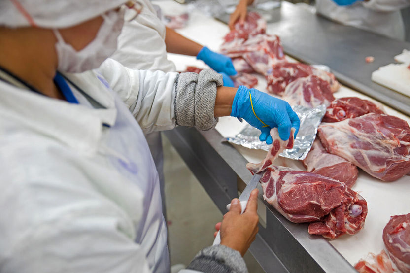 Traitement de la viande avec des boudins Forbo