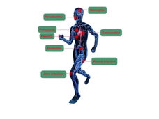 Universal Microbe Detection (UMD)