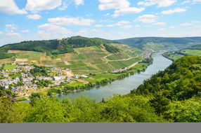 The sample shapes the LIMS like the river shapes the valley