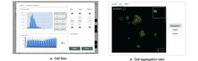Mesure de la taille cellulaire et taux d’agrégation cell ...