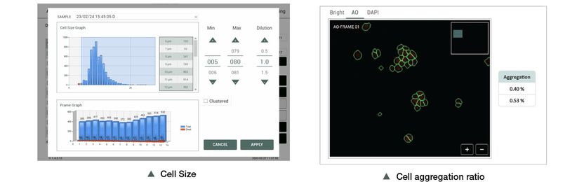 Mesure de la taille cellulaire et taux d’agrégation cell ...