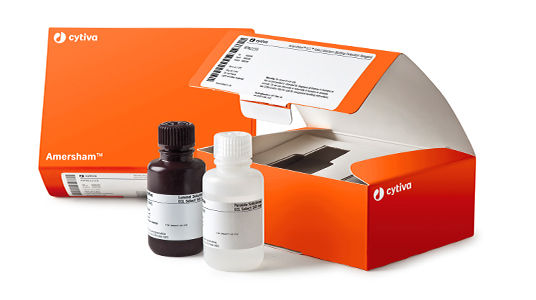 Réactifs de détection pour Western Blotting Amersham ECL