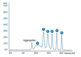 Vergleich zwischen Superose 6 Increase und Superdex 200 ...