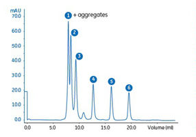 Vergleich zwischen Superose 6 Increase und Superdex 200 ...