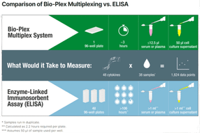 Vergleich von Bio-Plex Multiplexing und ELISA