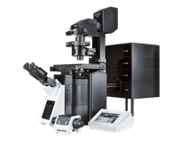 Elevate Your Imaging with New FLUOVIEW Laser Scanning Microscope System