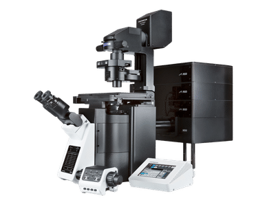 Bessere Bildgebung bei Experimenten mit konfokaler Mikroskopie
