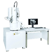 Always the right SEM:Characterization of surface structure & elemental analysis for all applications