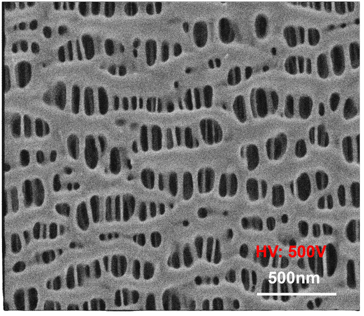 Low-energy imaging preserves the separator structure for ...