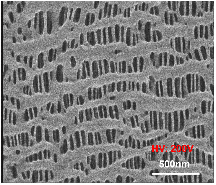 Low-energy imaging preserves the separator structure for ...