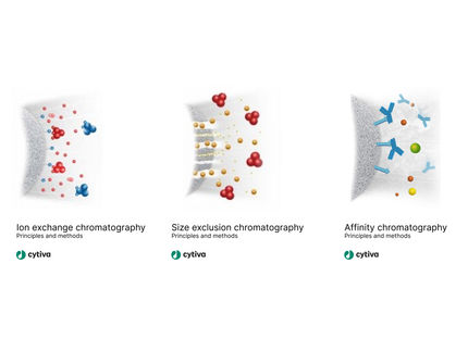 Protein Purification Handbooks