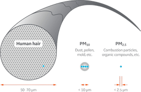 Comparison of particle sizes