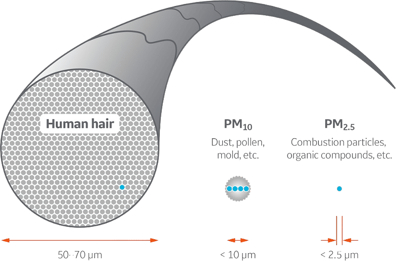 Comparison of particle sizes