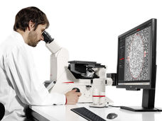 microscopes inversés