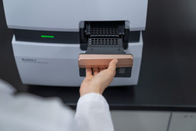 removable sample rack