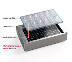 FirePlate-O2 con chips microfluídicos