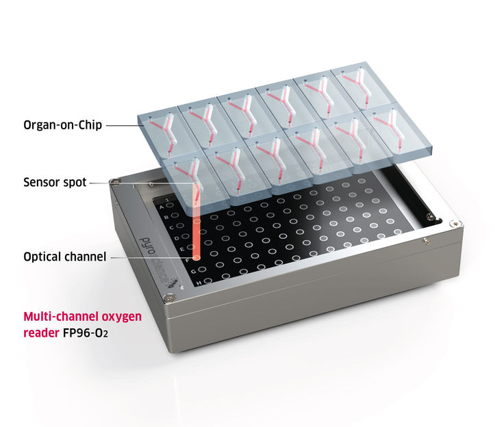FirePlate-O2 con chips microfluídicos
