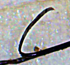 Sauber abgetragene Schicht als definierter Span – ideal ...