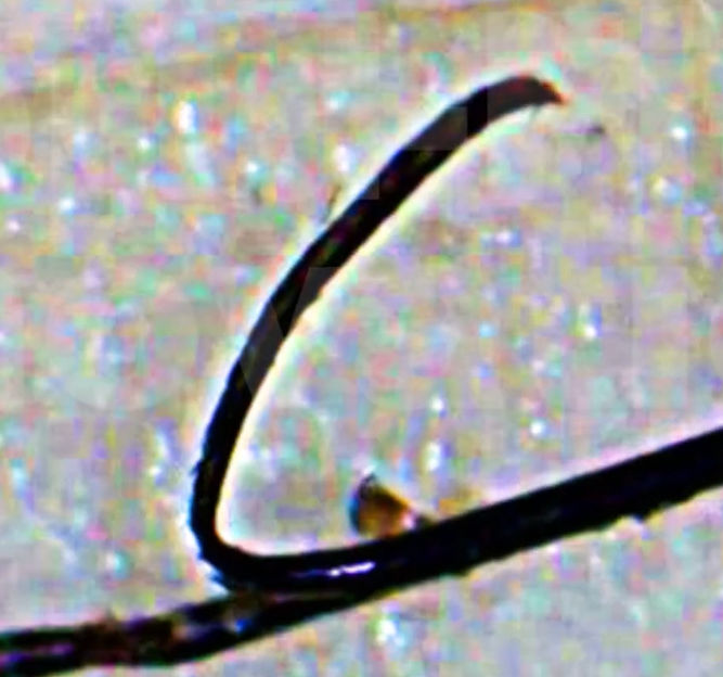 Sauber abgetragene Schicht als definierter Span – ideal ...