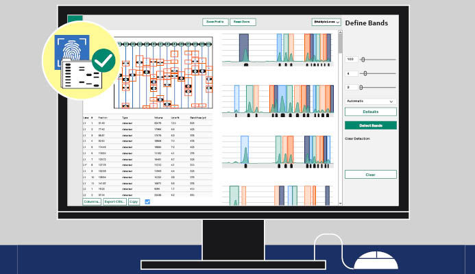 Quantify with confidence on ImageQuant™ TL analysis software