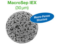 The New Process Resin for the Purification of Large Biomolecules