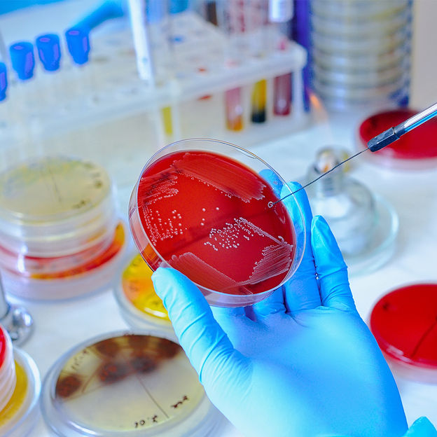 Aislamiento e identificación de patógenos clínicos