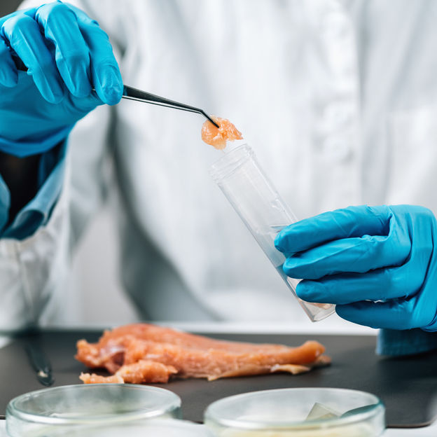 Los análisis microbianos son fundamentales para la segur ...