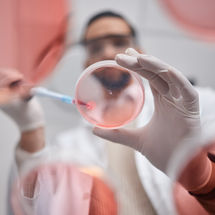 Garantizar la seguridad farmacéutica con las pruebas de ...