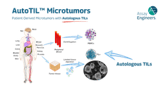 AutoTIL™ Microtumors